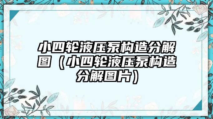 小四輪液壓泵構(gòu)造分解圖（小四輪液壓泵構(gòu)造分解圖片）