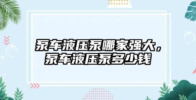 泵車液壓泵哪家強(qiáng)大，泵車液壓泵多少錢