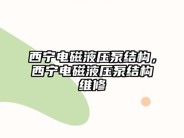 西寧電磁液壓泵結構，西寧電磁液壓泵結構維修