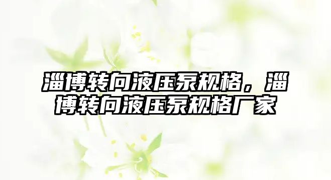 淄博轉向液壓泵規(guī)格，淄博轉向液壓泵規(guī)格廠家