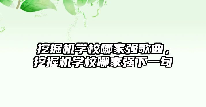 挖掘機學校哪家強歌曲，挖掘機學校哪家強下一句