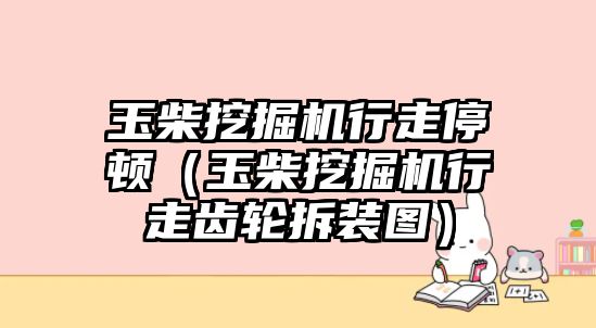 玉柴挖掘機行走停頓（玉柴挖掘機行走齒輪拆裝圖）