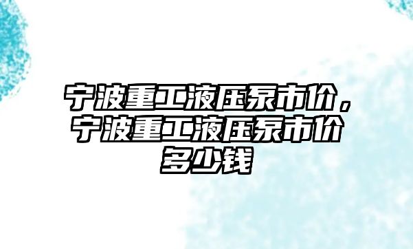 寧波重工液壓泵市價(jià)，寧波重工液壓泵市價(jià)多少錢