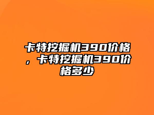 卡特挖掘機390價格，卡特挖掘機390價格多少