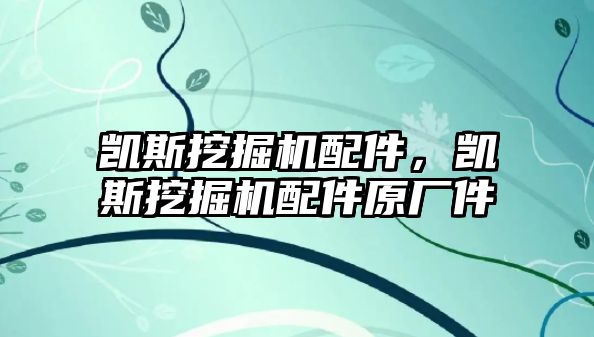 凱斯挖掘機配件，凱斯挖掘機配件原廠件