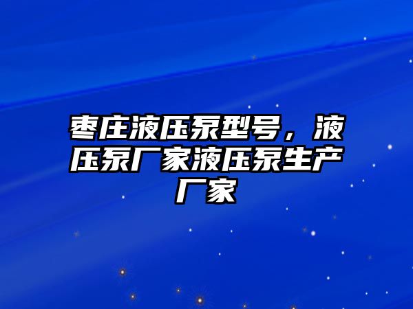 棗莊液壓泵型號(hào)，液壓泵廠家液壓泵生產(chǎn)廠家