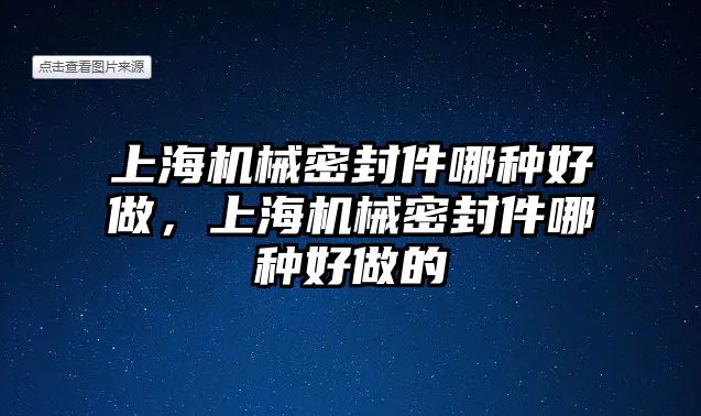 上海機(jī)械密封件哪種好做，上海機(jī)械密封件哪種好做的