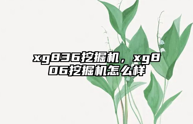 xg836挖掘機(jī)，xg806挖掘機(jī)怎么樣