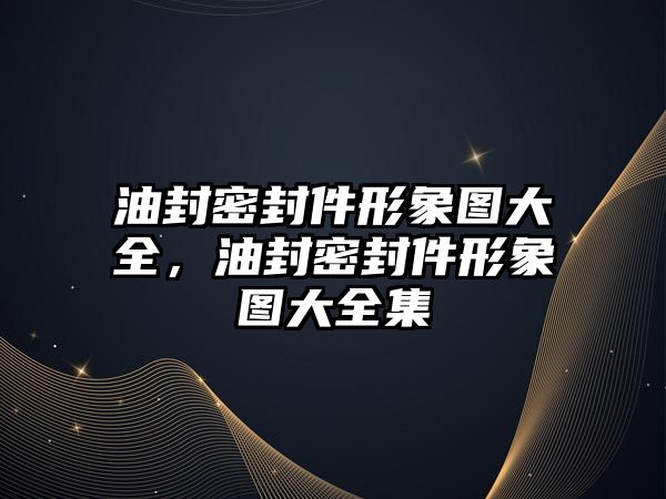 油封密封件形象圖大全，油封密封件形象圖大全集