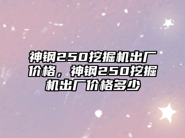 神鋼250挖掘機(jī)出廠價格，神鋼250挖掘機(jī)出廠價格多少