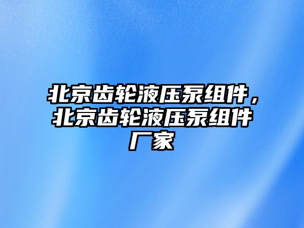 北京齒輪液壓泵組件，北京齒輪液壓泵組件廠家