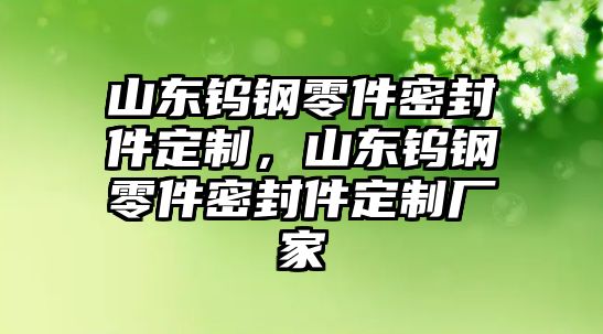 山東鎢鋼零件密封件定制，山東鎢鋼零件密封件定制廠家