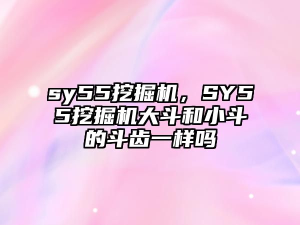 sy55挖掘機(jī)，SY55挖掘機(jī)大斗和小斗的斗齒一樣嗎