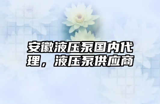 安徽液壓泵國(guó)內(nèi)代理，液壓泵供應(yīng)商