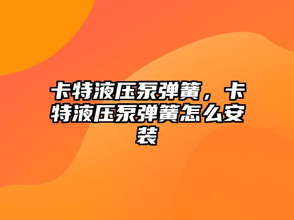 卡特液壓泵彈簧，卡特液壓泵彈簧怎么安裝