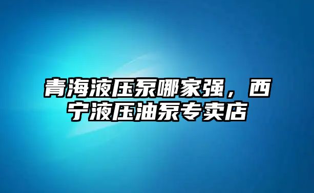 青海液壓泵哪家強(qiáng)，西寧液壓油泵專賣店