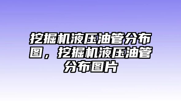 挖掘機液壓油管分布圖，挖掘機液壓油管分布圖片