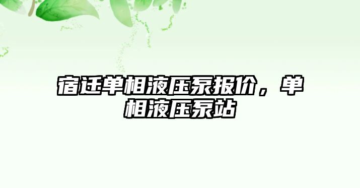 宿遷單相液壓泵報價，單相液壓泵站