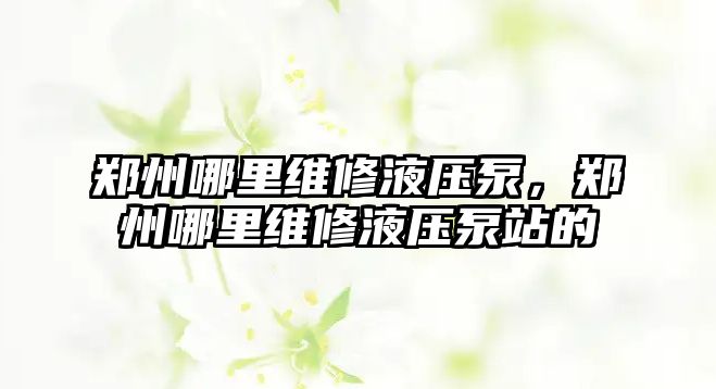 鄭州哪里維修液壓泵，鄭州哪里維修液壓泵站的