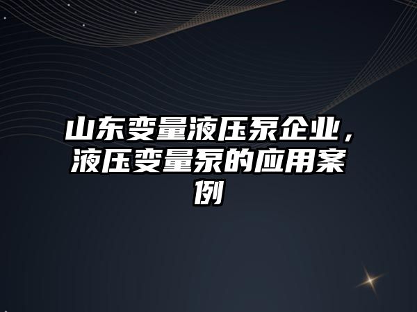 山東變量液壓泵企業(yè)，液壓變量泵的應(yīng)用案例