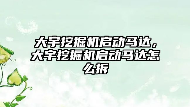 大宇挖掘機啟動馬達，大宇挖掘機啟動馬達怎么拆