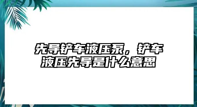 先導(dǎo)鏟車液壓泵，鏟車液壓先導(dǎo)是什么意思