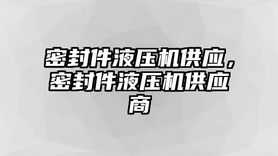 密封件液壓機(jī)供應(yīng)，密封件液壓機(jī)供應(yīng)商