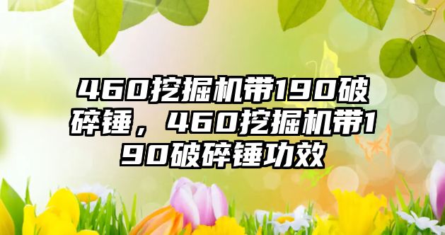 460挖掘機(jī)帶190破碎錘，460挖掘機(jī)帶190破碎錘功效