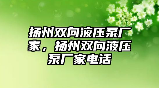 揚州雙向液壓泵廠家，揚州雙向液壓泵廠家電話