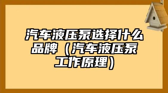 汽車液壓泵選擇什么品牌（汽車液壓泵工作原理）