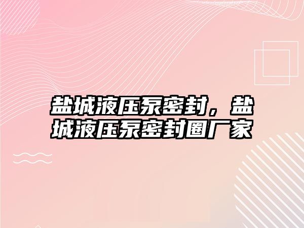 鹽城液壓泵密封，鹽城液壓泵密封圈廠家