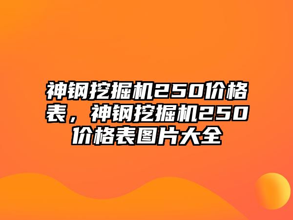 神鋼挖掘機250價格表，神鋼挖掘機250價格表圖片大全