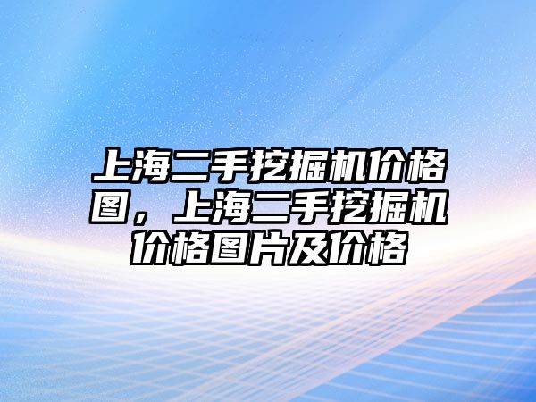 上海二手挖掘機(jī)價格圖，上海二手挖掘機(jī)價格圖片及價格