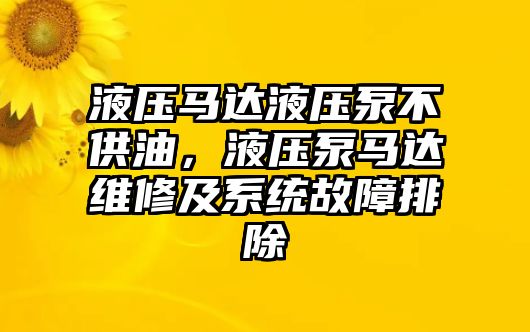 液壓馬達(dá)液壓泵不供油，液壓泵馬達(dá)維修及系統(tǒng)故障排除