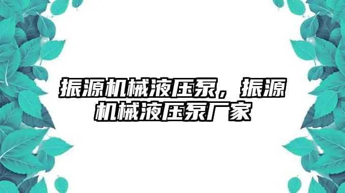 振源機械液壓泵，振源機械液壓泵廠家