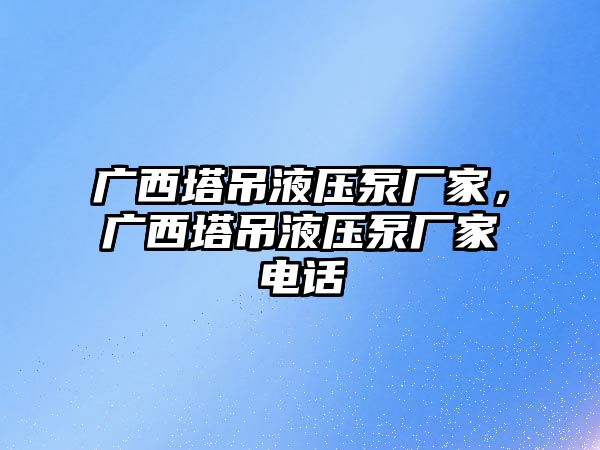 廣西塔吊液壓泵廠家，廣西塔吊液壓泵廠家電話