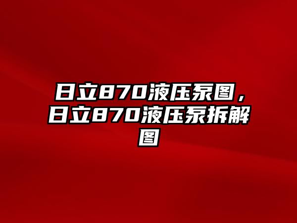 日立870液壓泵圖，日立870液壓泵拆解圖