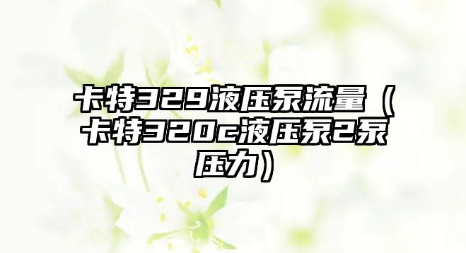 卡特329液壓泵流量（卡特320c液壓泵2泵壓力）