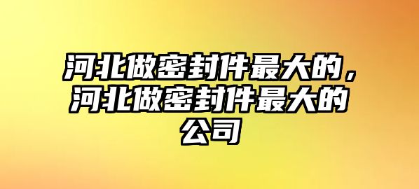 河北做密封件最大的，河北做密封件最大的公司