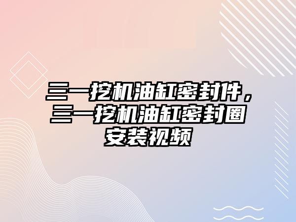 三一挖機油缸密封件，三一挖機油缸密封圈安裝視頻