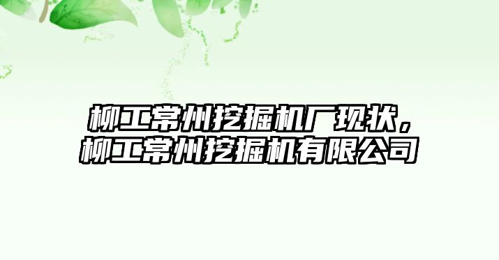 柳工常州挖掘機廠現(xiàn)狀，柳工常州挖掘機有限公司