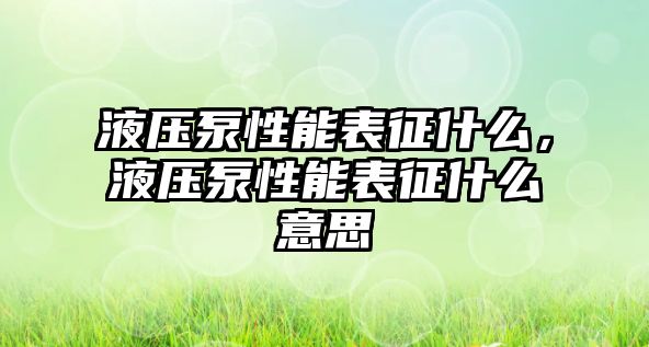 液壓泵性能表征什么，液壓泵性能表征什么意思