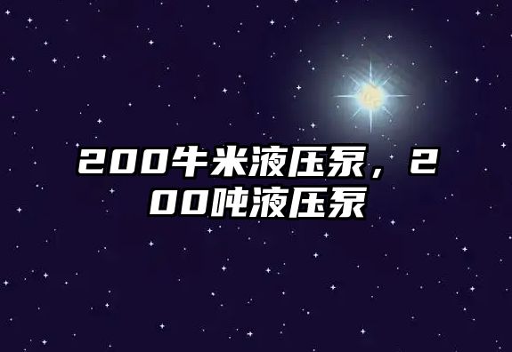 200牛米液壓泵，200噸液壓泵