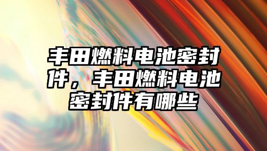 豐田燃料電池密封件，豐田燃料電池密封件有哪些