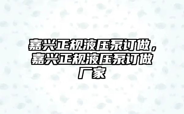 嘉興正規(guī)液壓泵訂做，嘉興正規(guī)液壓泵訂做廠家