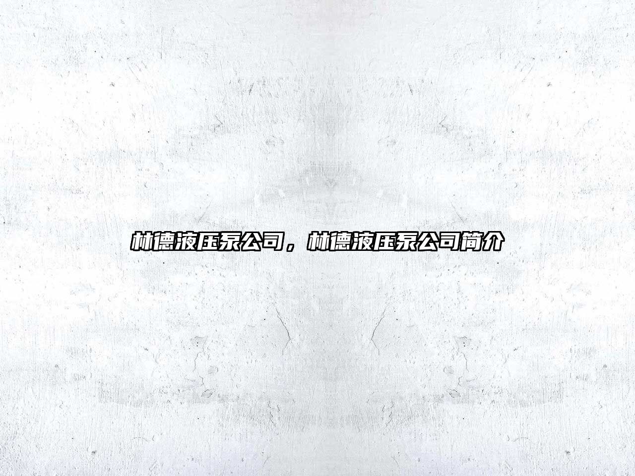 林德液壓泵公司，林德液壓泵公司簡(jiǎn)介