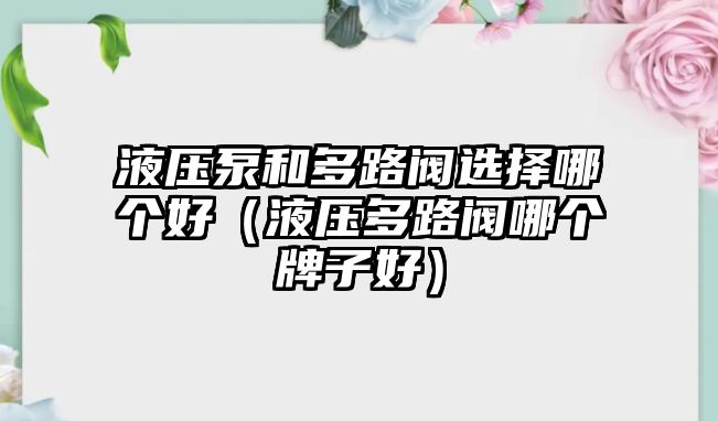 液壓泵和多路閥選擇哪個(gè)好（液壓多路閥哪個(gè)牌子好）