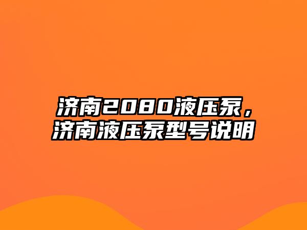 濟南2080液壓泵，濟南液壓泵型號說明