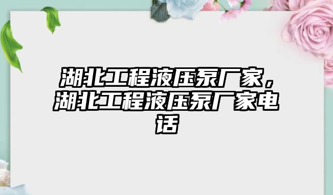 湖北工程液壓泵廠家，湖北工程液壓泵廠家電話