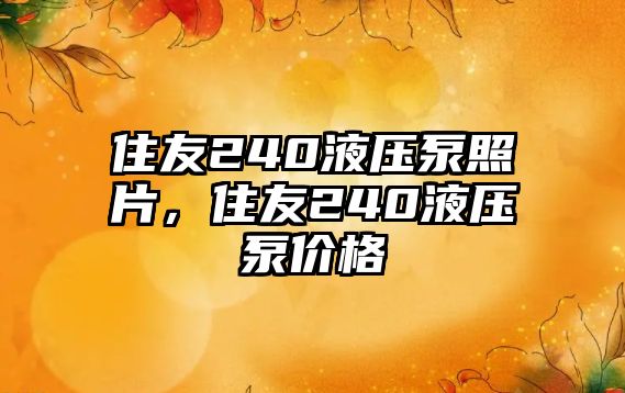 住友240液壓泵照片，住友240液壓泵價格